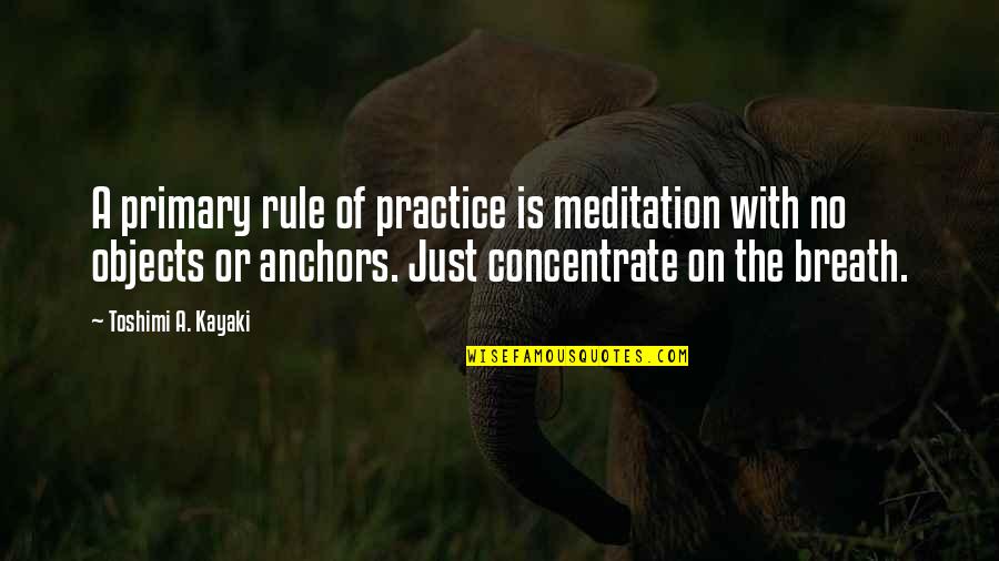 Beetlejuice Quotes By Toshimi A. Kayaki: A primary rule of practice is meditation with Beetlejuice Quotes By Toshimi A. Kayaki: A primary rule of practice is meditation with