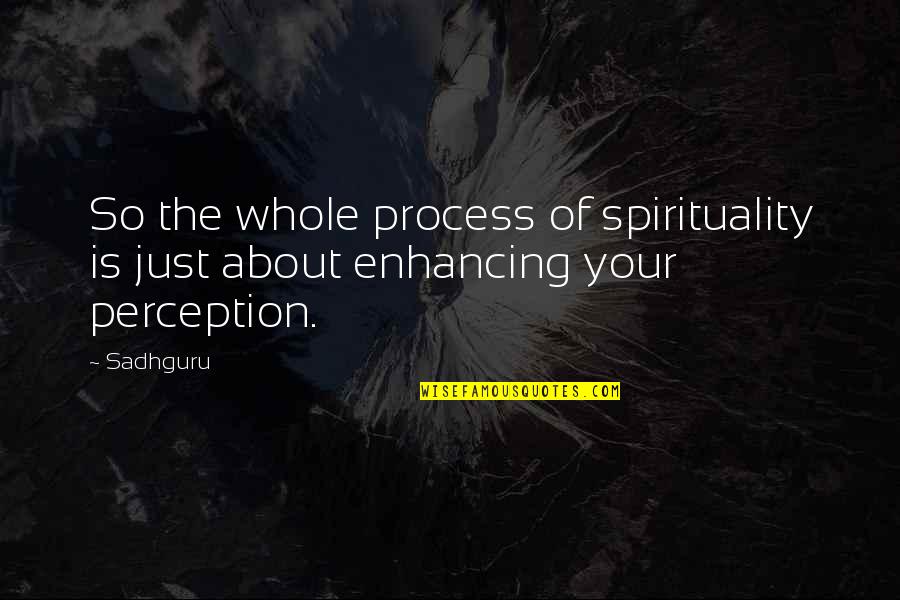 Beetlejuice Receptionist Quotes By Sadhguru: So the whole process of spirituality is just