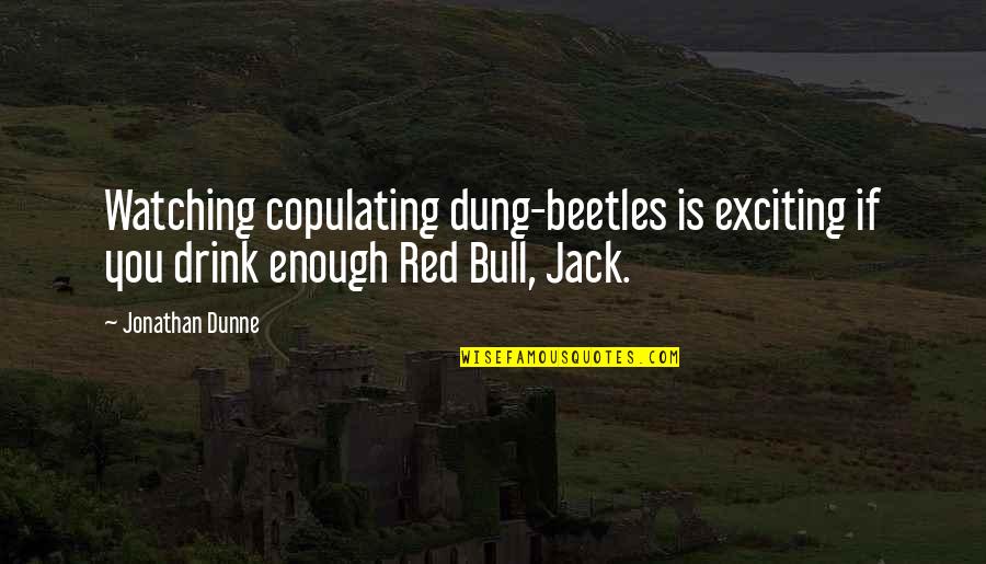 Beetles Quotes By Jonathan Dunne: Watching copulating dung-beetles is exciting if you drink