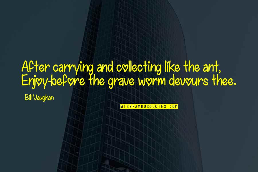 Before And After Quotes By Bill Vaughan: After carrying and collecting like the ant, Enjoy-before