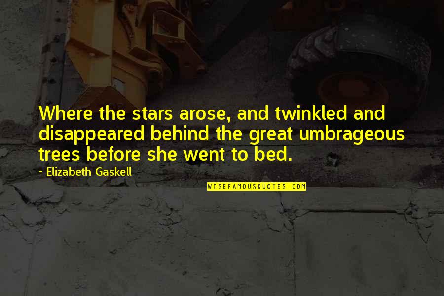 Before Bed Quotes By Elizabeth Gaskell: Where the stars arose, and twinkled and disappeared