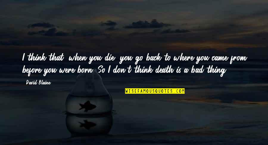 Before Death Quotes By David Blaine: I think that, when you die, you go