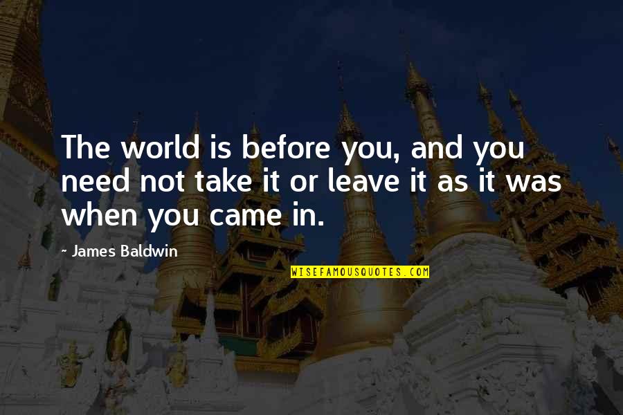 Before I Leave This World Quotes By James Baldwin: The world is before you, and you need