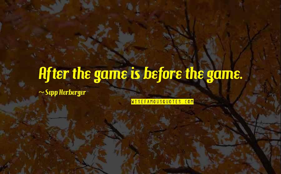 Before The Game Quotes By Sepp Herberger: After the game is before the game.