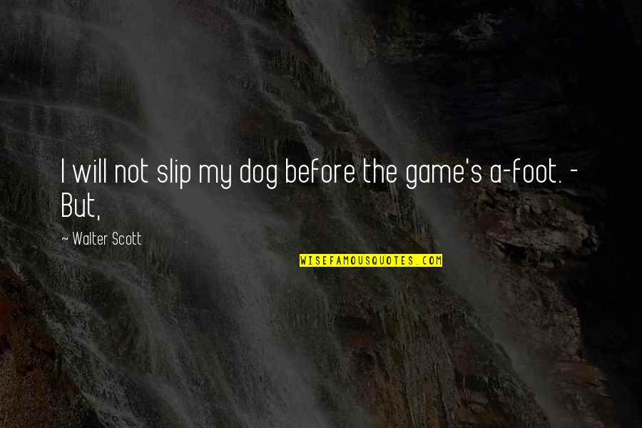 Before The Game Quotes By Walter Scott: I will not slip my dog before the