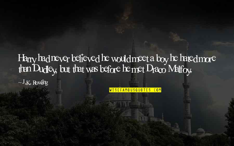 Before We Meet Quotes By J.K. Rowling: Harry had never believed he would meet a