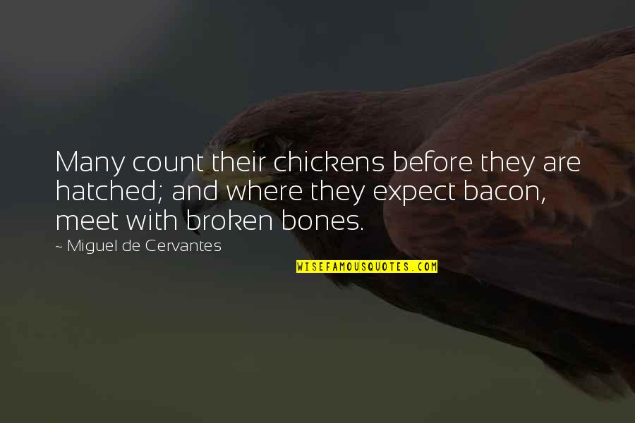 Before We Meet Quotes By Miguel De Cervantes: Many count their chickens before they are hatched;