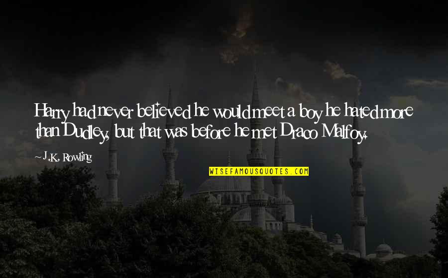 Before We Met Quotes By J.K. Rowling: Harry had never believed he would meet a