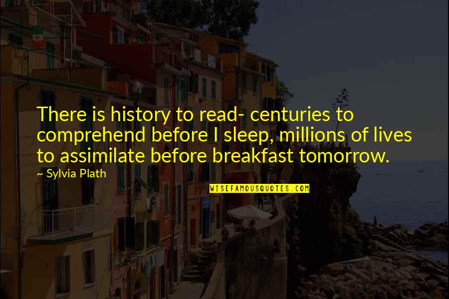 Before We Sleep Quotes By Sylvia Plath: There is history to read- centuries to comprehend