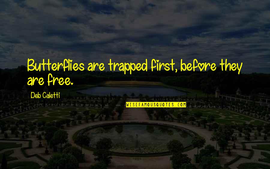 Before We Were Free Quotes By Deb Caletti: Butterflies are trapped first, before they are free.