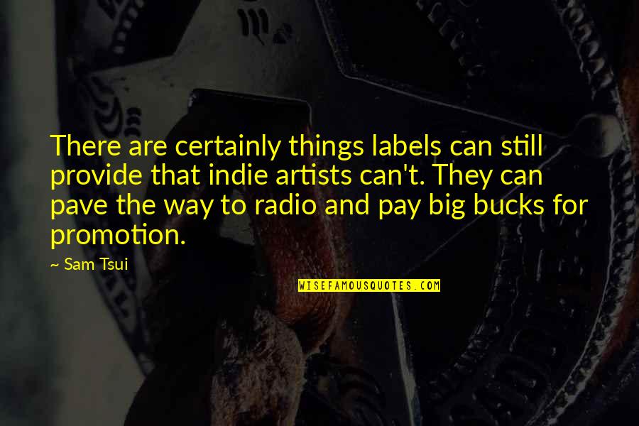 Before We Were Yours Important Pages Quotes By Sam Tsui: There are certainly things labels can still provide Before We Were Yours Important Pages Quotes By Sam Tsui: There are certainly things labels can still provide