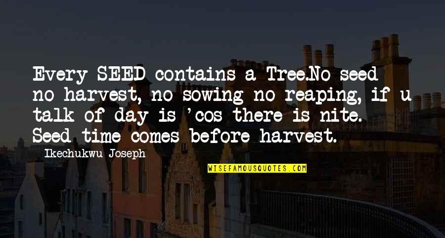 Before You Talk Quotes By Ikechukwu Joseph: Every SEED contains a Tree.No seed no harvest,