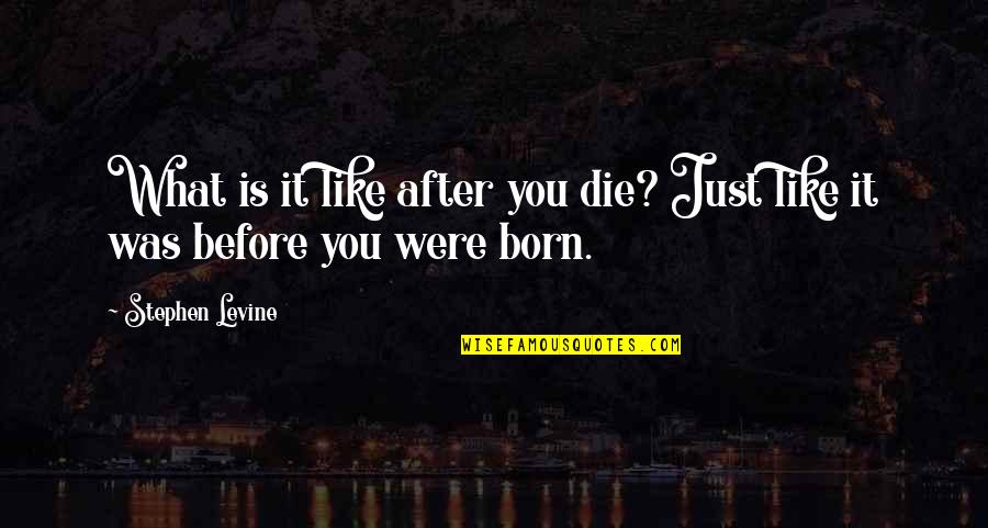 Before You Were Born Quotes By Stephen Levine: What is it like after you die? Just