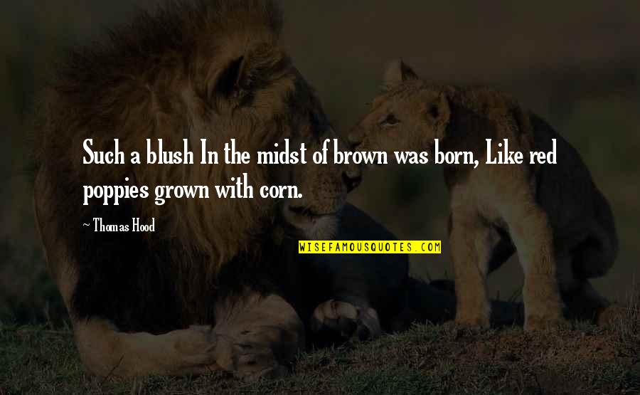 Befreiung Kraft Quotes By Thomas Hood: Such a blush In the midst of brown
