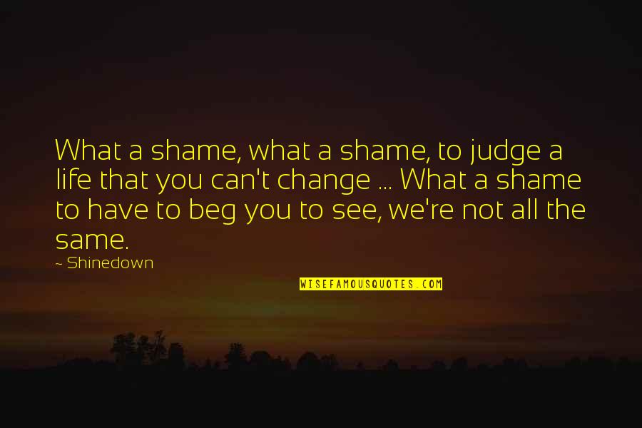 Beg Change Quotes By Shinedown: What a shame, what a shame, to judge