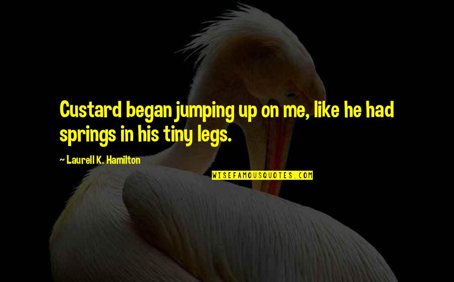 Began Quotes By Laurell K. Hamilton: Custard began jumping up on me, like he