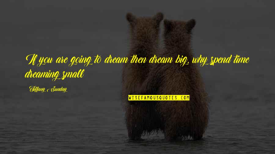 Begaye Flea Quotes By Tiffany Sunday: If you are going to dream then dream