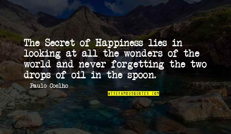 Begetting Pro Quotes By Paulo Coelho: The Secret of Happiness lies in looking at