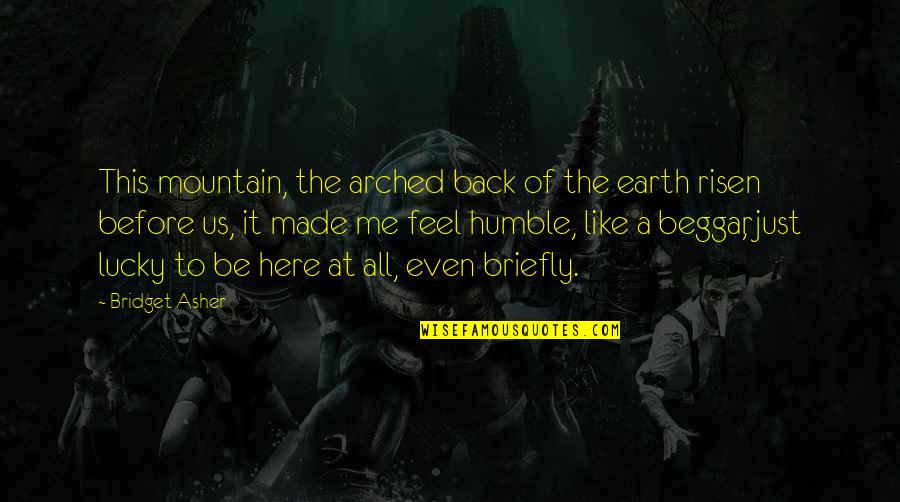 Beggar Quotes By Bridget Asher: This mountain, the arched back of the earth