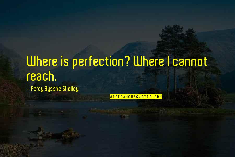 Beginners Relationships Quotes By Percy Bysshe Shelley: Where is perfection? Where I cannot reach.