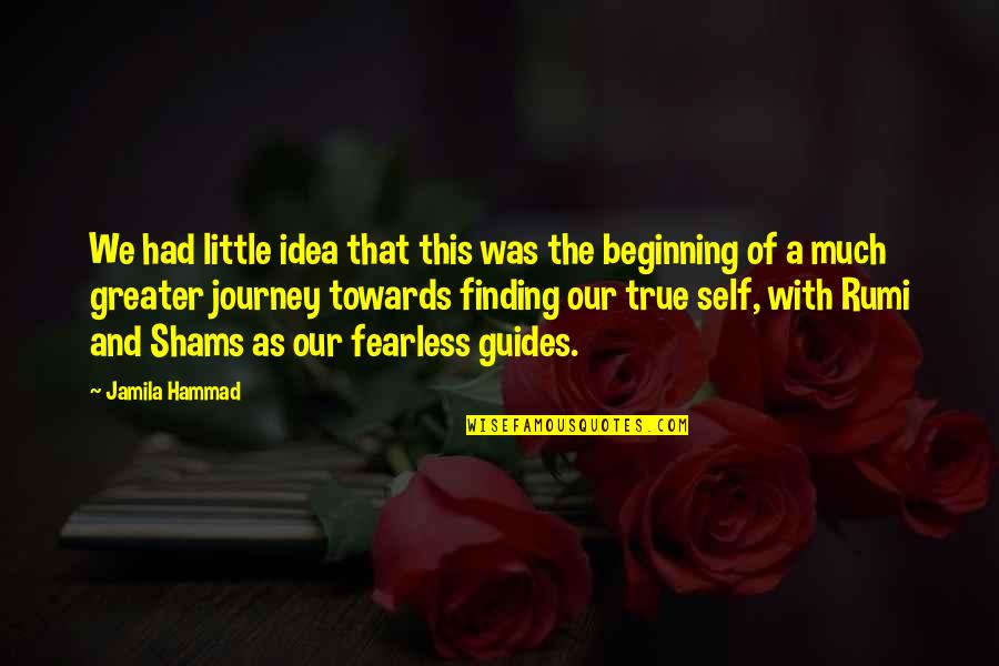Beginning Inspirational Quotes By Jamila Hammad: We had little idea that this was the