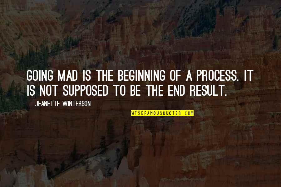 Beginning Inspirational Quotes By Jeanette Winterson: Going mad is the beginning of a process.