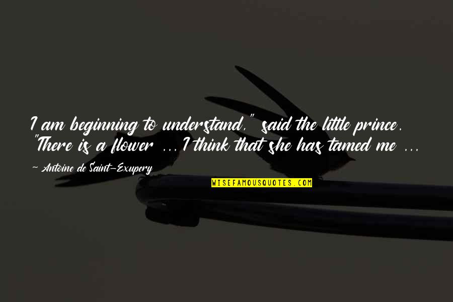 Beginning Love Quotes By Antoine De Saint-Exupery: I am beginning to understand," said the little