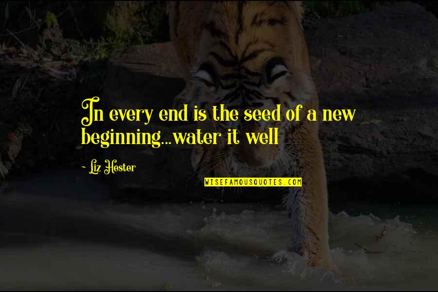 Beginning New Quotes By Liz Hester: In every end is the seed of a