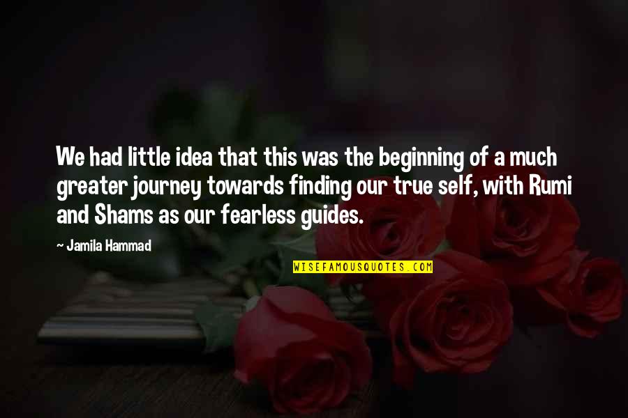 Beginning The Journey Quotes By Jamila Hammad: We had little idea that this was the