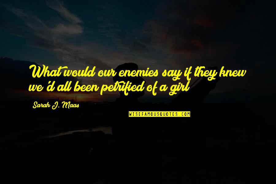 Beginnings History Quotes By Sarah J. Maas: What would our enemies say if they knew