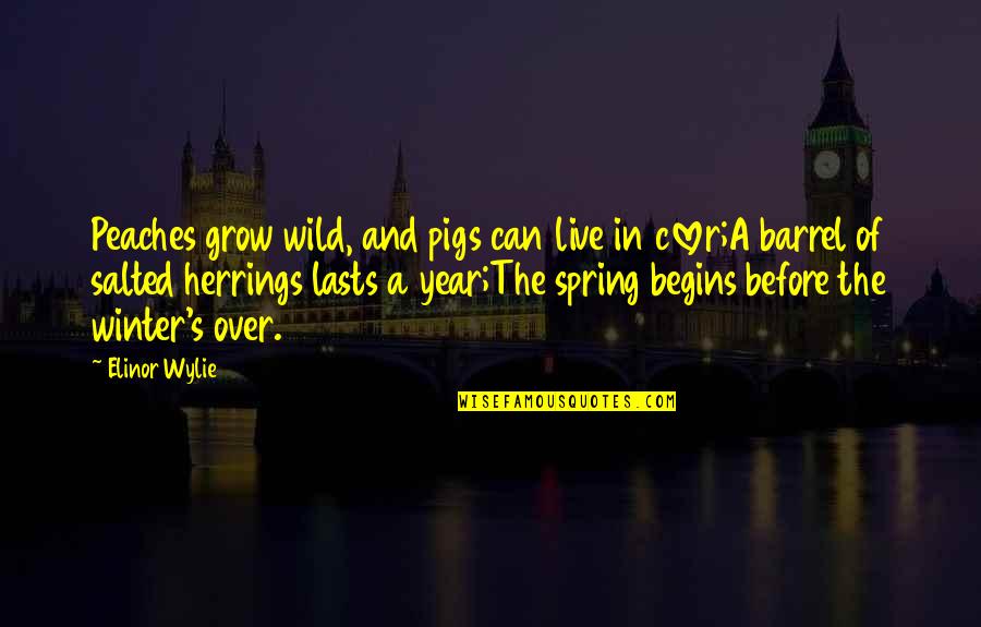 Begintrans Quotes By Elinor Wylie: Peaches grow wild, and pigs can live in