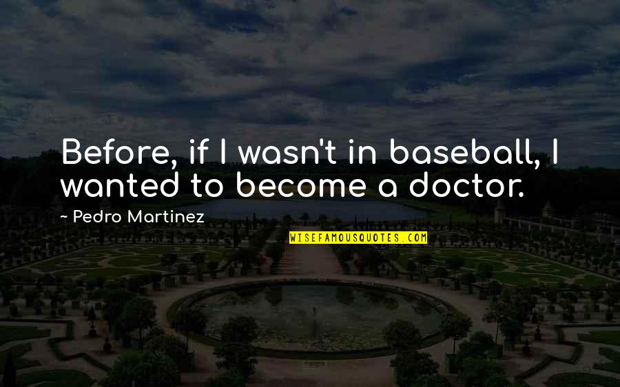Begleri Quotes By Pedro Martinez: Before, if I wasn't in baseball, I wanted