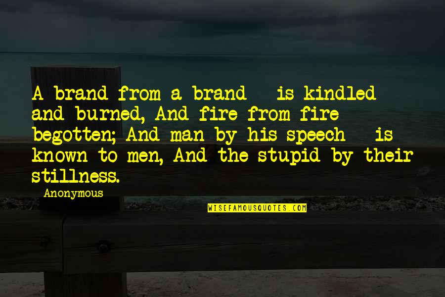 Begotten Quotes By Anonymous: A brand from a brand | is kindled