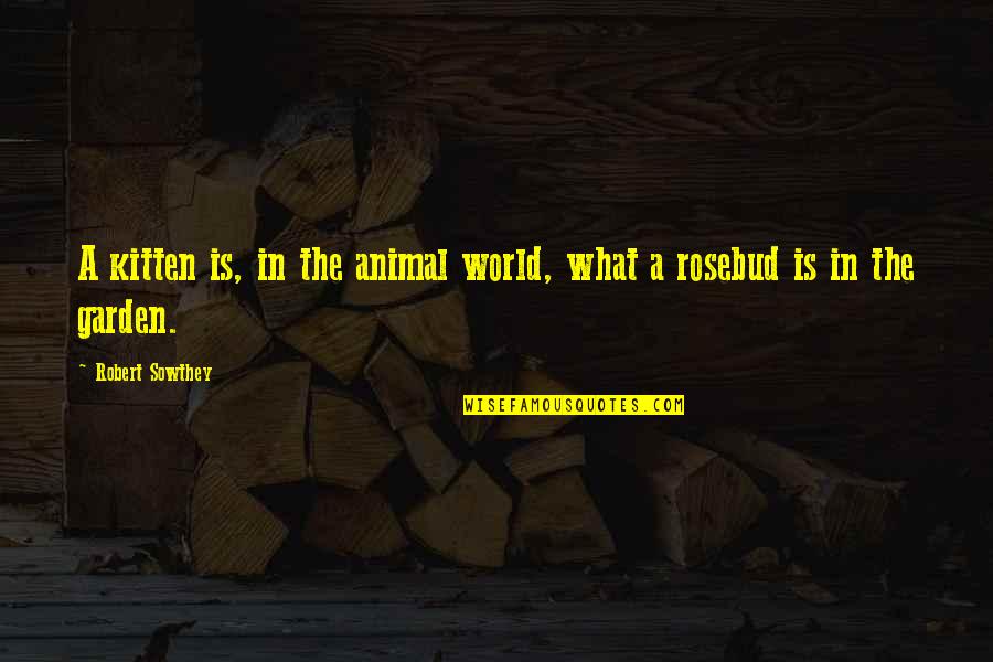 Begreh Quotes By Robert Sowthey: A kitten is, in the animal world, what