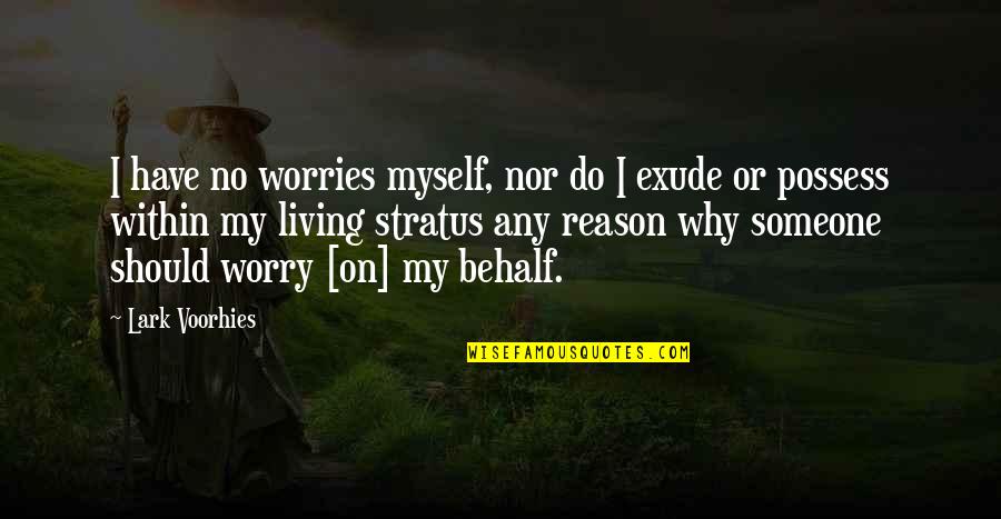Behalf Quotes By Lark Voorhies: I have no worries myself, nor do I