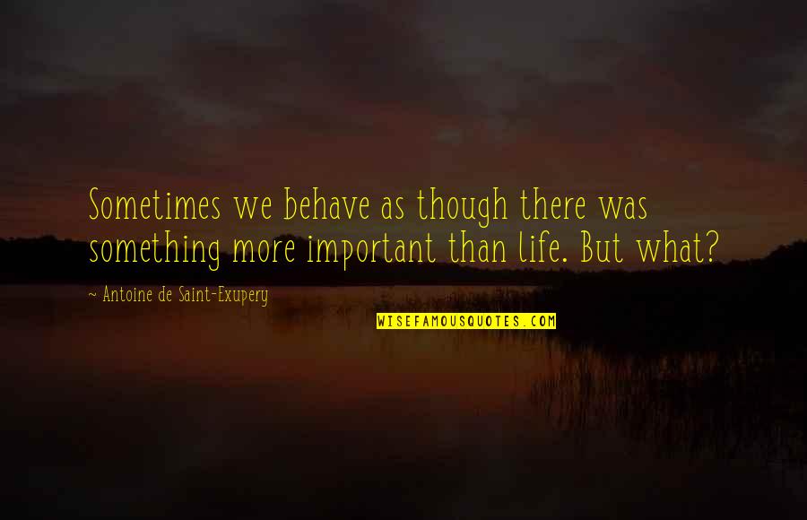 Behave Quotes By Antoine De Saint-Exupery: Sometimes we behave as though there was something