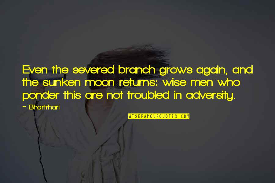 Behaving Properly Quotes By Bhartrhari: Even the severed branch grows again, and the