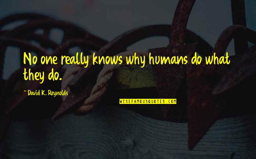 Behavior Psychology Quotes By David K. Reynolds: No one really knows why humans do what