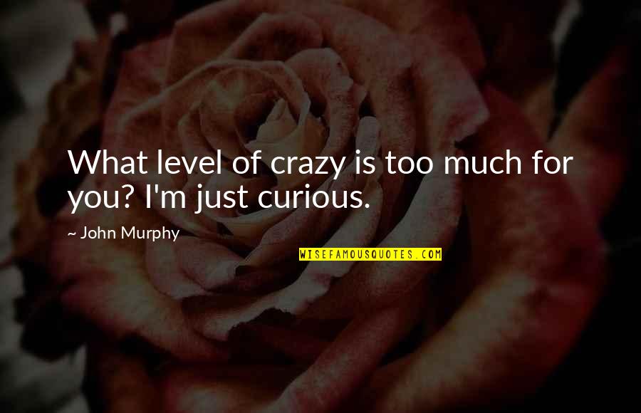 Behavioral Leadership Quotes By John Murphy: What level of crazy is too much for