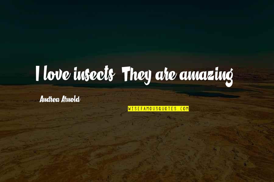 Beherrschende Quotes By Andrea Arnold: I love insects. They are amazing.