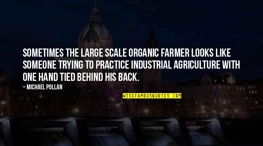 Behind Back Quotes By Michael Pollan: Sometimes the large scale organic farmer looks like