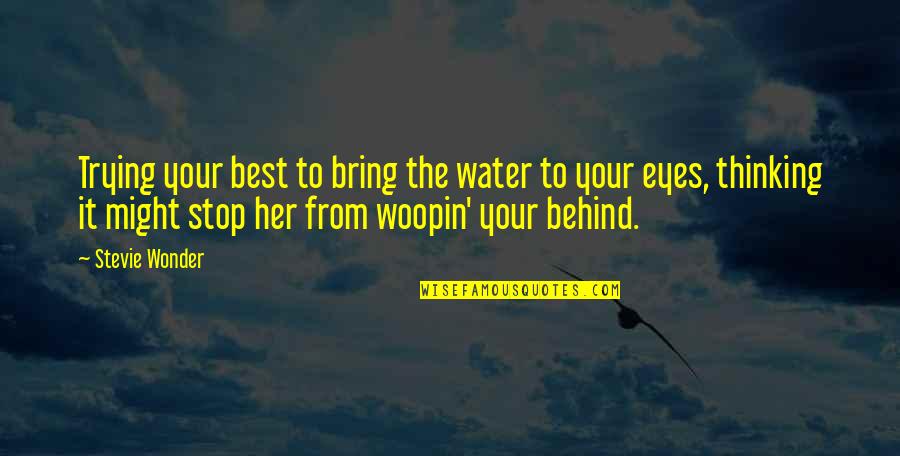 Behind Her Eyes Quotes By Stevie Wonder: Trying your best to bring the water to