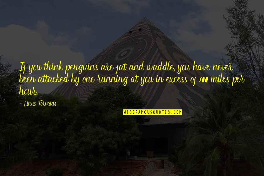Behind My Sunglasses Quotes By Linus Torvalds: If you think penguins are fat and waddle,