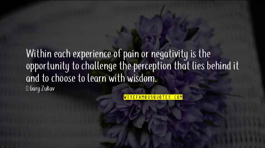 Behind Quotes By Gary Zukav: Within each experience of pain or negativity is