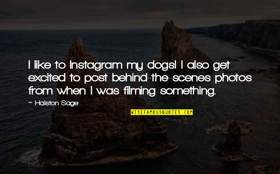 Behind Scenes Quotes By Halston Sage: I like to Instagram my dogs! I also