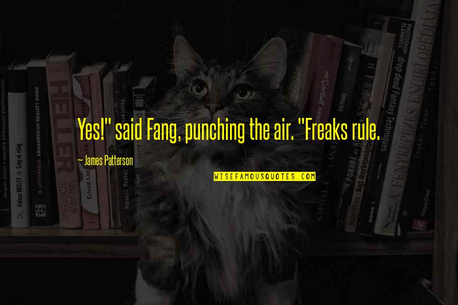 Behind The Chair Funny Quotes By James Patterson: Yes!" said Fang, punching the air. "Freaks rule.