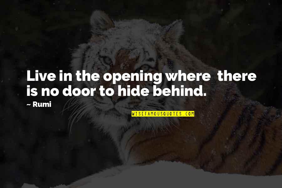 Behind The Door Quotes By Rumi: Live in the opening where there is no