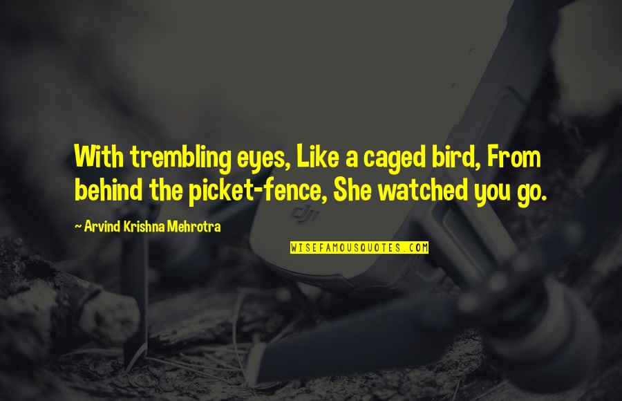 Behind The Eyes Quotes By Arvind Krishna Mehrotra: With trembling eyes, Like a caged bird, From