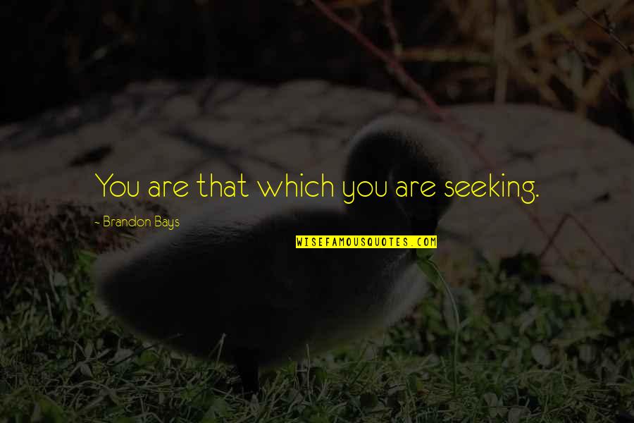 Behnaz Sohrabian Quotes By Brandon Bays: You are that which you are seeking.