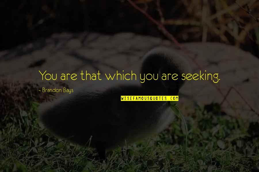 Behnaz Sohrabian Quotes By Brandon Bays: You are that which you are seeking. Behnaz Sohrabian Quotes By Brandon Bays: You are that which you are seeking.